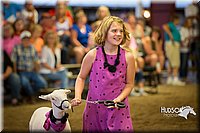 LCFAIR15-6955.jpg