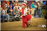 LCFAIR15-6956.jpg