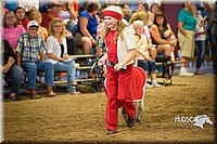 LCFAIR15-6957.jpg