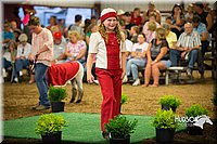 LCFAIR15-6964.jpg