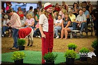 LCFAIR15-6965.jpg