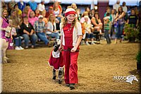 LCFAIR15-6968.jpg