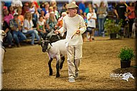 LCFAIR15-6999.jpg