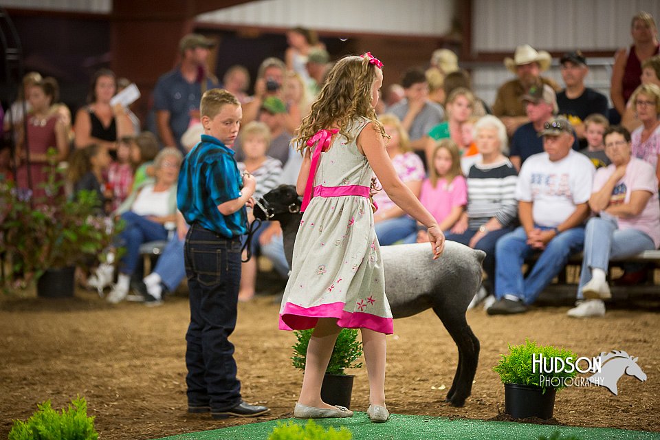 LCFAIR15-7137.jpg