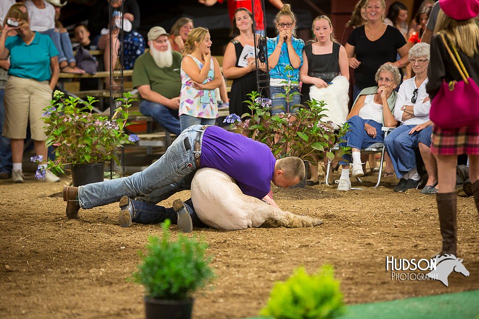 LCFAIR15-7240.jpg