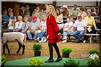 LCFAIR15-7214.jpg