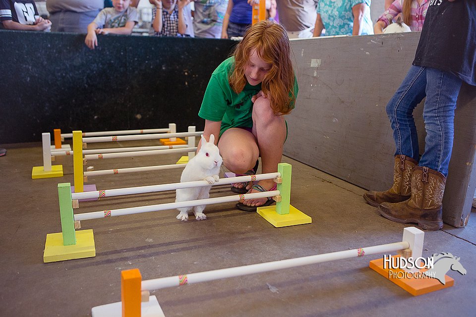LCFAIR15-6591.jpg