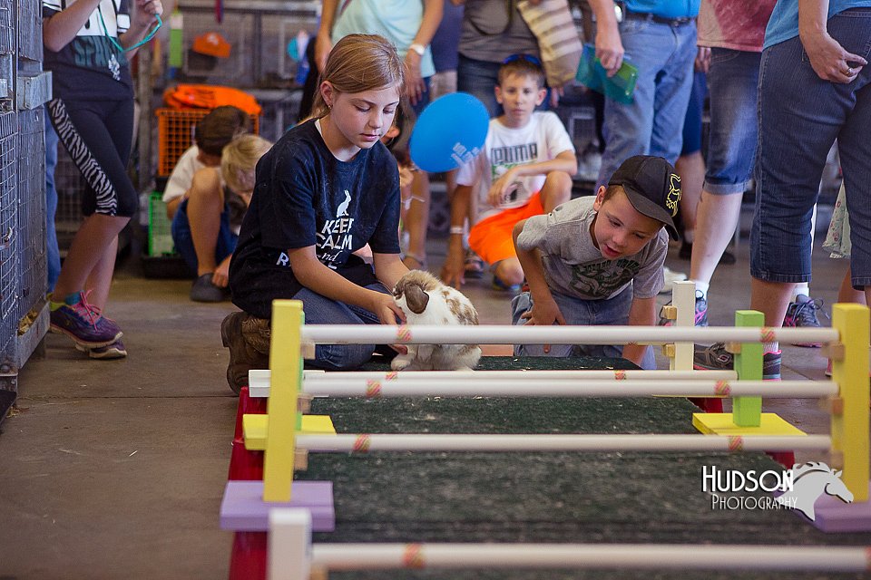 LCFAIR15-6601.jpg