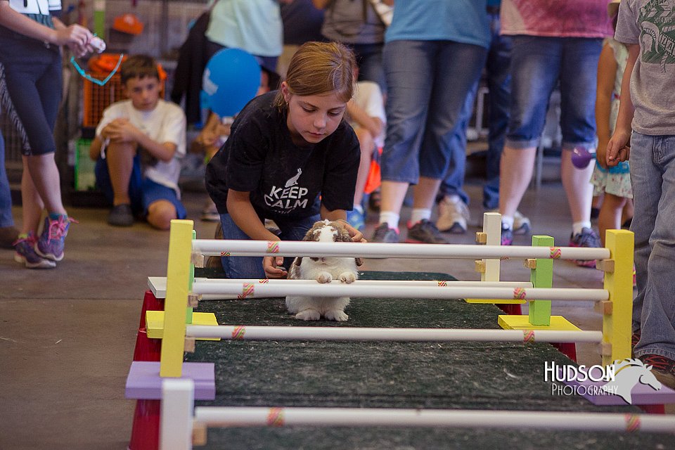 LCFAIR15-6602.jpg