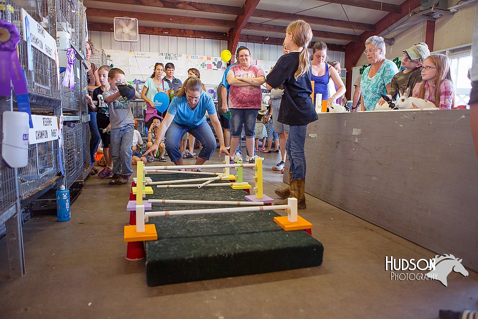 LCFAIR15-6603.jpg
