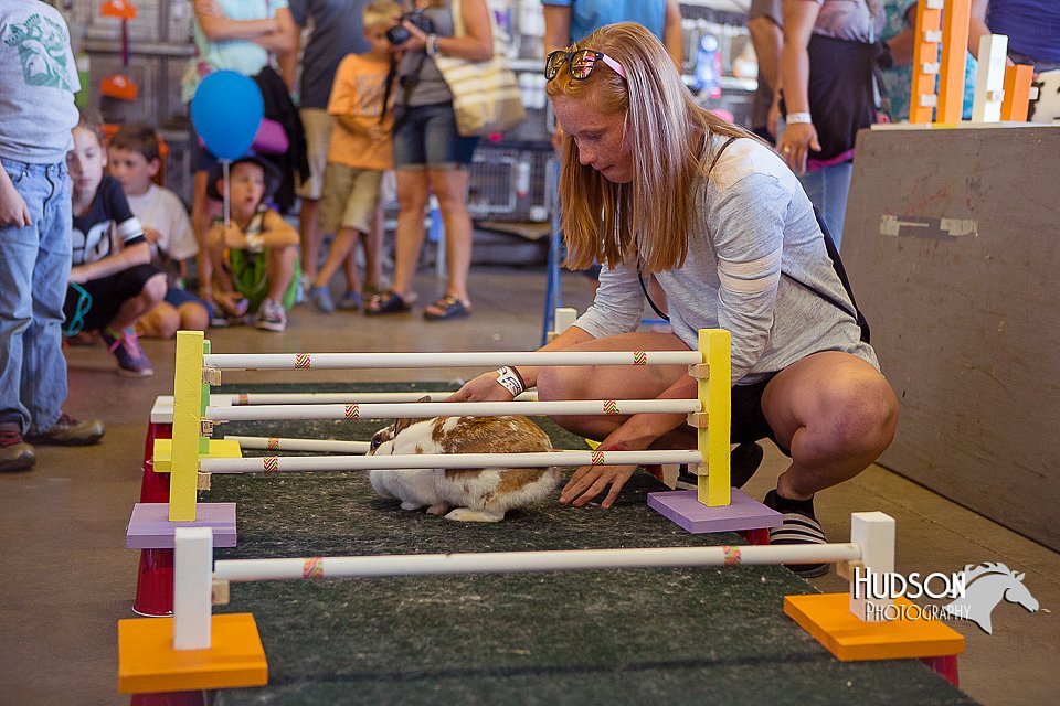 LCFAIR15-6605.jpg
