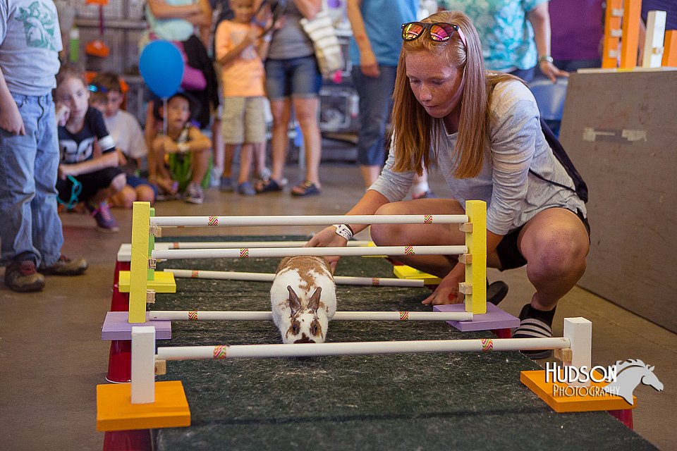 LCFAIR15-6606.jpg