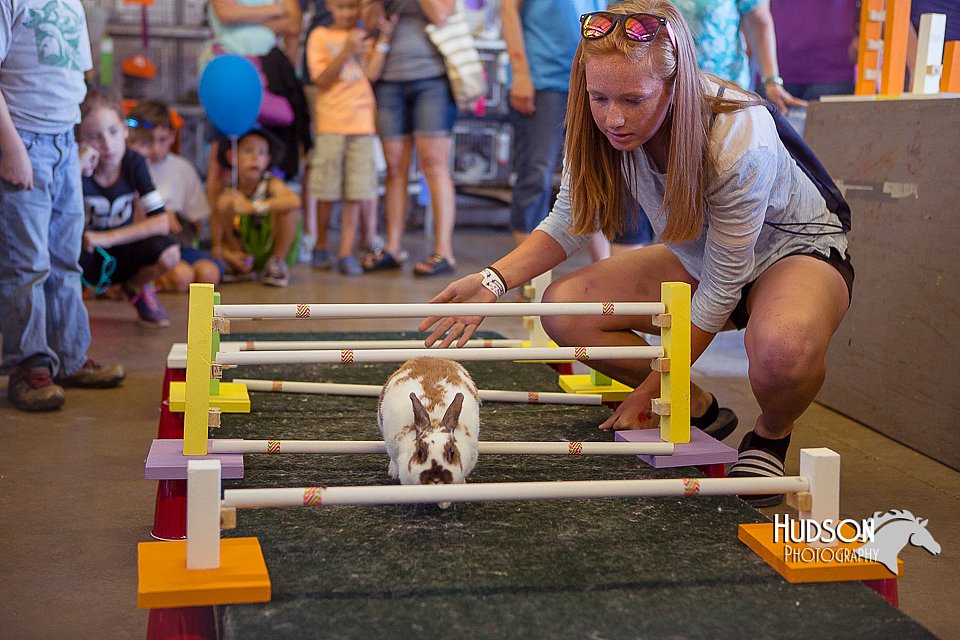 LCFAIR15-6607.jpg
