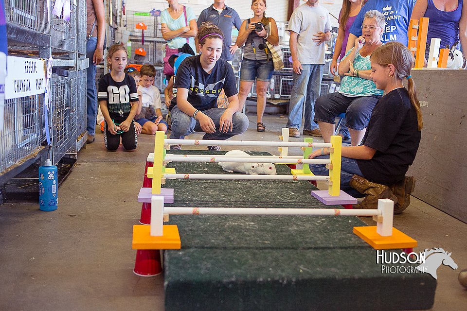 LCFAIR15-6608.jpg