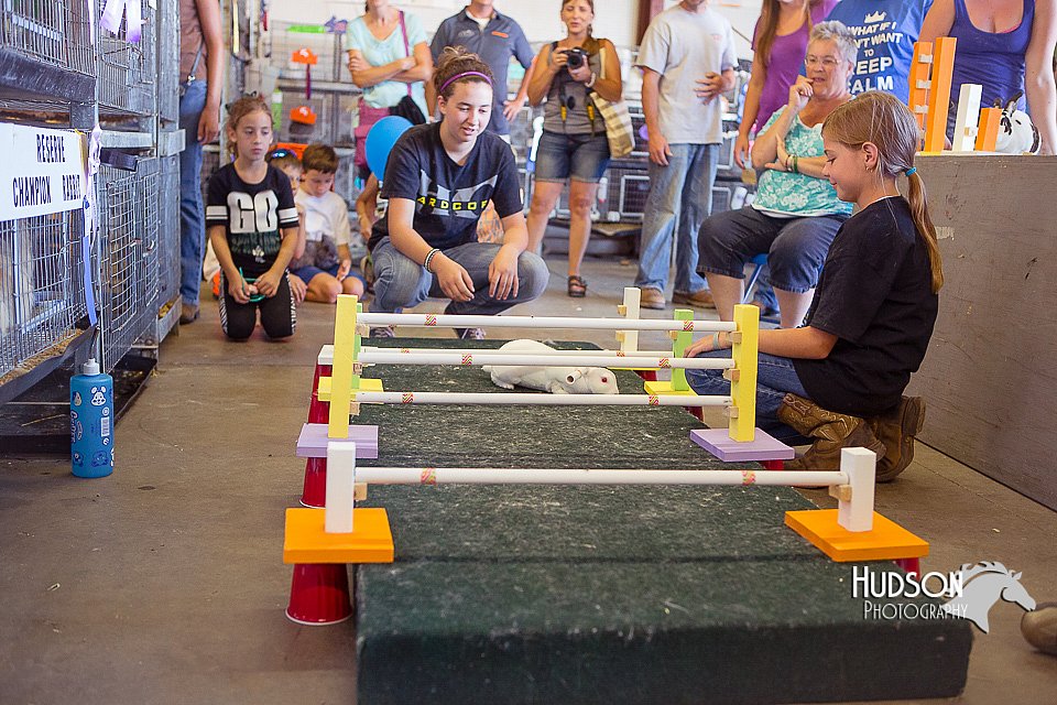 LCFAIR15-6609.jpg