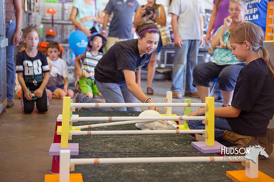 LCFAIR15-6610.jpg