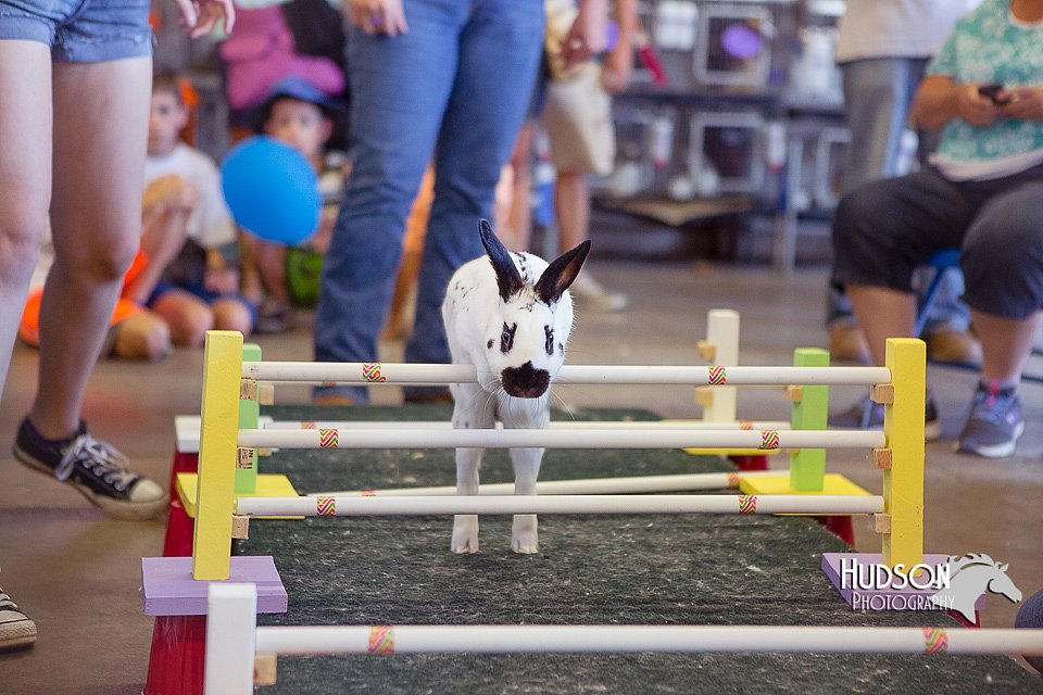 LCFAIR15-6614.jpg