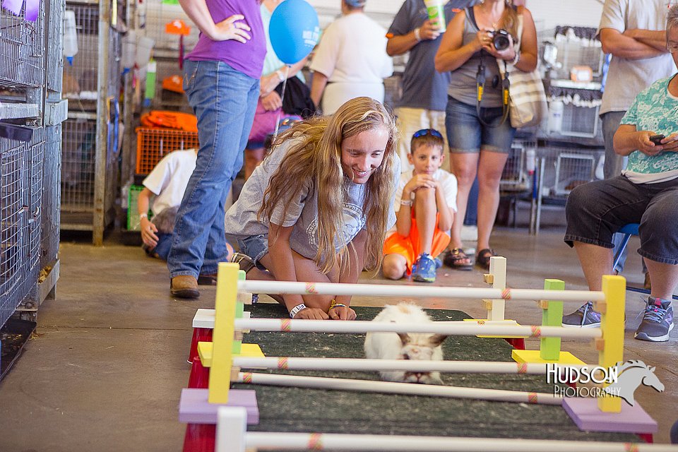 LCFAIR15-6616.jpg