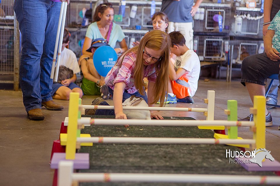 LCFAIR15-6622.jpg