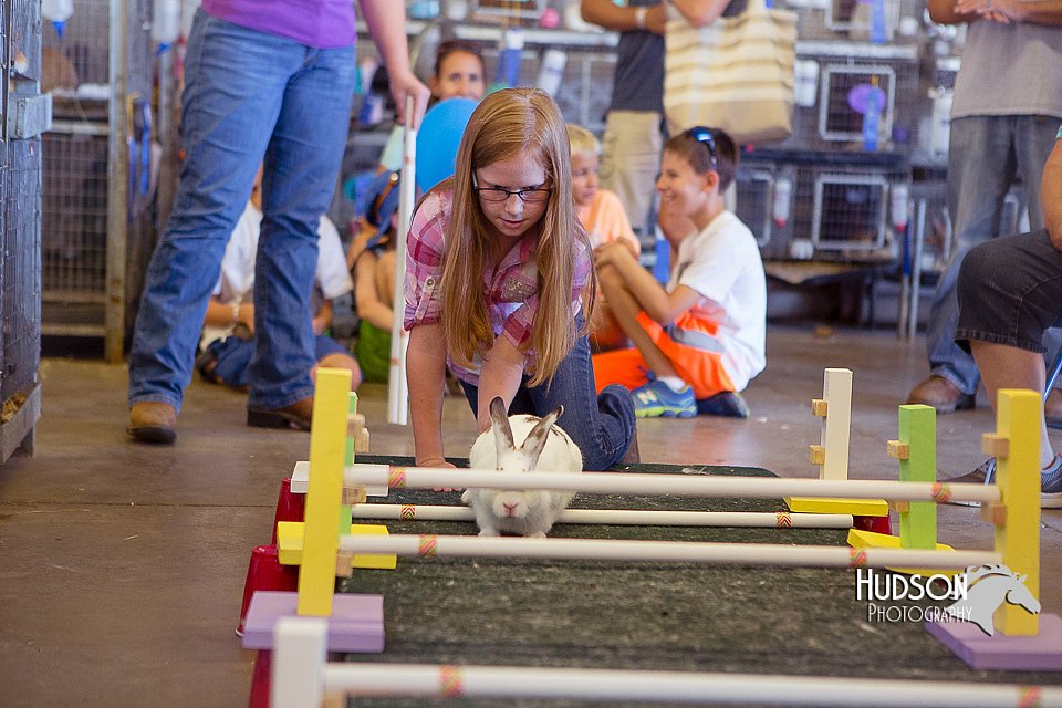 LCFAIR15-6625.jpg