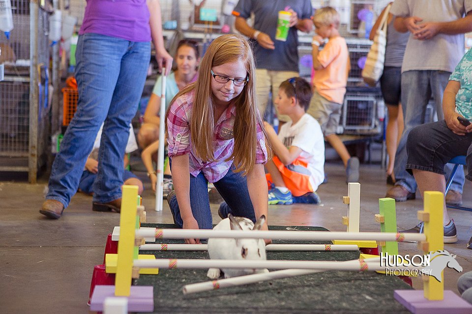 LCFAIR15-6627.jpg