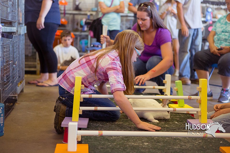LCFAIR15-6633.jpg
