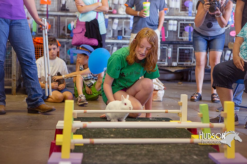 LCFAIR15-6636.jpg