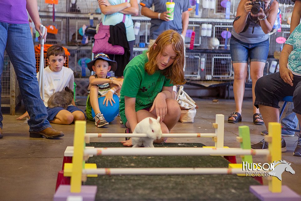 LCFAIR15-6638.jpg