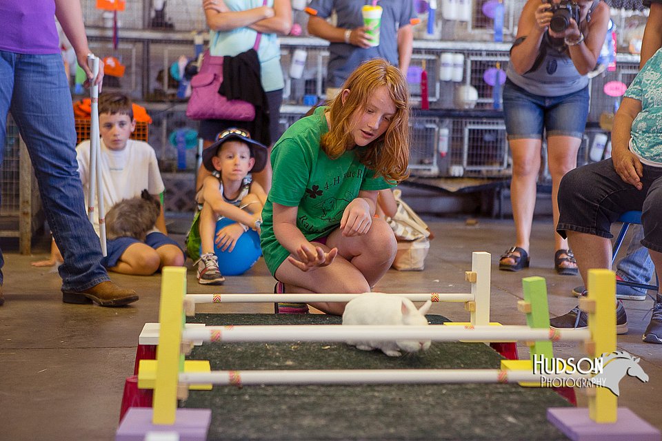 LCFAIR15-6639.jpg