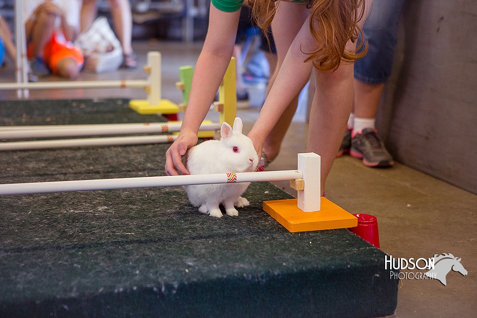 LCFAIR15-6645.jpg