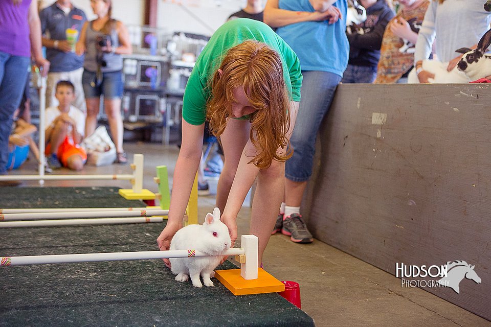 LCFAIR15-6647.jpg