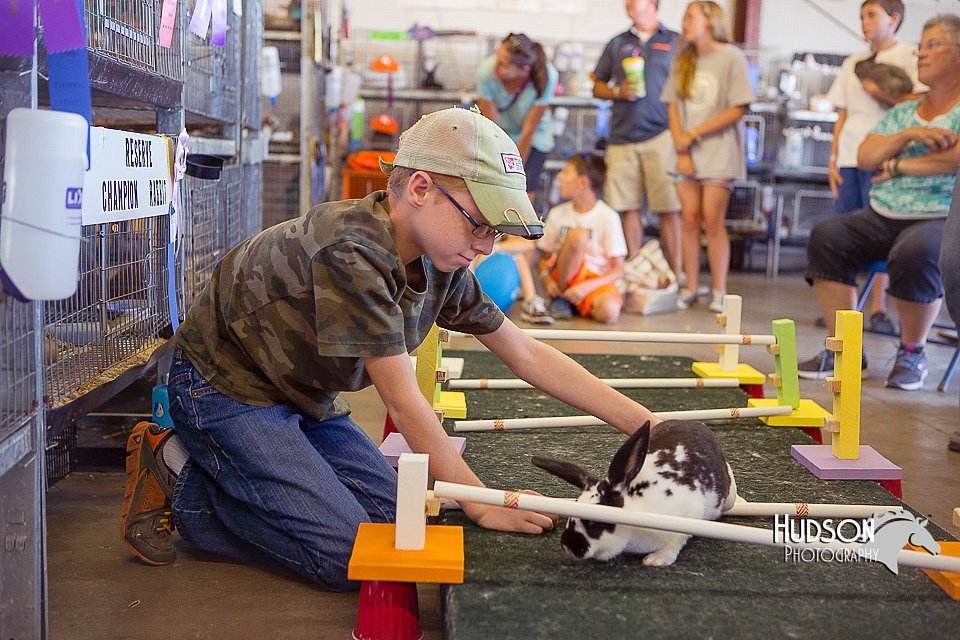 LCFAIR15-6651.jpg