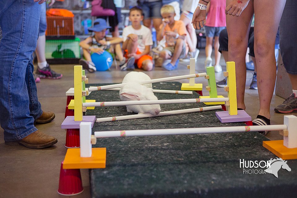 LCFAIR15-6657.jpg