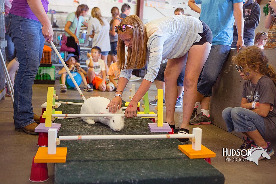 LCFAIR15-6659.jpg