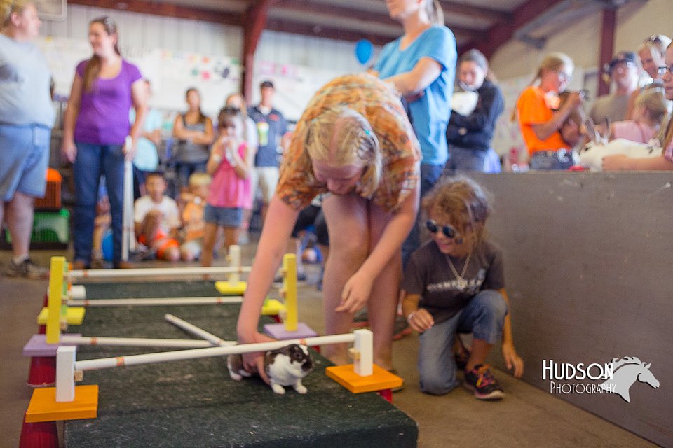 LCFAIR15-6668.jpg