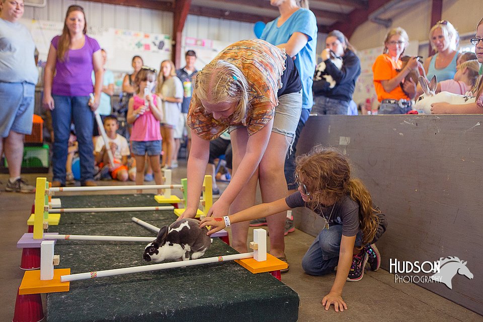 LCFAIR15-6669.jpg