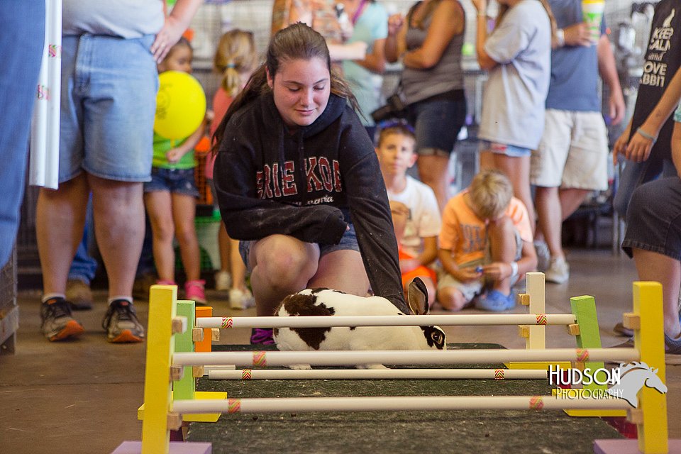 LCFAIR15-6672.jpg
