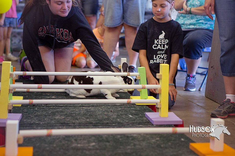 LCFAIR15-6677.jpg