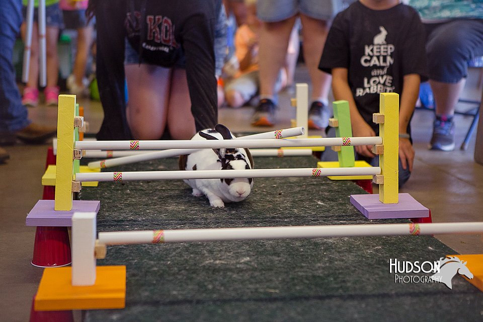 LCFAIR15-6680.jpg