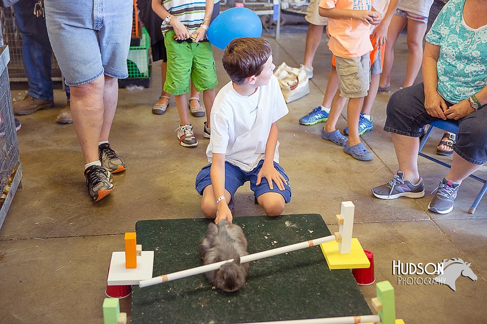 LCFAIR15-6715.jpg