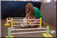 LCFAIR15-6584.jpg