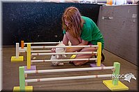 LCFAIR15-6585.jpg