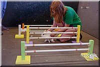 LCFAIR15-6587.jpg