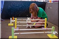 LCFAIR15-6589.jpg