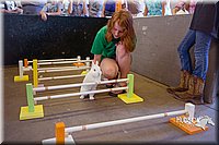 LCFAIR15-6590.jpg