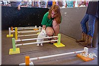 LCFAIR15-6591.jpg