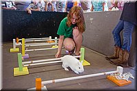LCFAIR15-6593.jpg