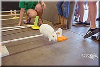 LCFAIR15-6595.jpg