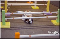 LCFAIR15-6598.jpg