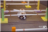 LCFAIR15-6599.jpg